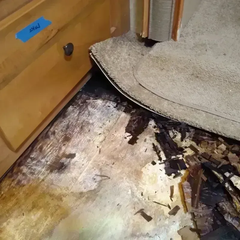 Wood Floor Water Damage in Greendale, WI